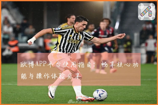 欧博APP平台使用指南：畅享核心功能与操作体验分享