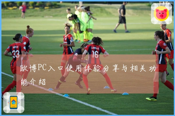 欧博PC入口使用体验分享与相关功能介绍