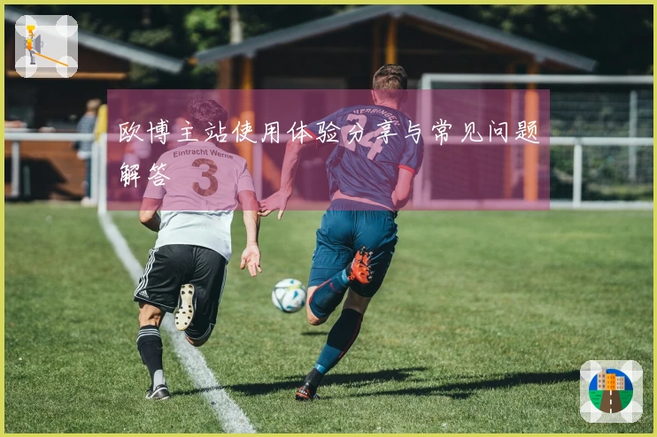 欧博主站使用体验分享与常见问题解答